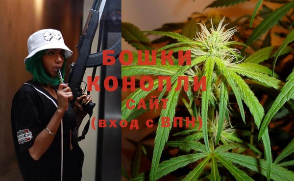 молекула духа Балахна