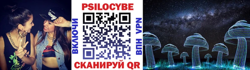 как найти закладки  Славянск-на-Кубани  Галлюциногенные грибы Psilocybine cubensis 